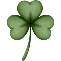 Watercolor lucky clover leaf clipart, St patricks day illustration. png