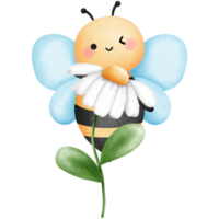 Little bee with white daisy flower watercolor clipart, Hand drawn cute baby bumblebee and floral illustration. png