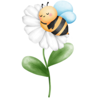 Bee sleeping on white daisy flower clipart, Watercolor cute insect illustration, Baby animal with floral art. png