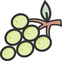 Green grapes illustration design vector