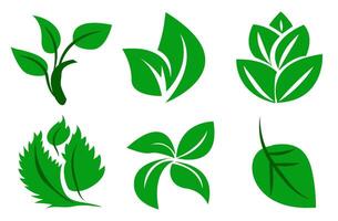 A set of green leaves on a white background, for logos, designs, for the symbolism of the green planet vector