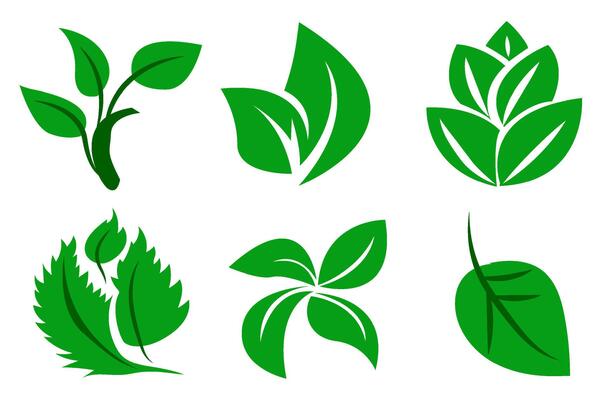 A set of green leaves on a white background, for logos, designs, for the symbolism of the green planet