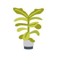 Fiddle Leaf Fig icon in vector. Logotype vector