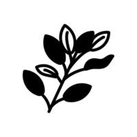 Sage icon in vector. Logotype vector