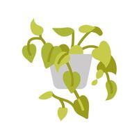 Heartleaf Philodendron icon in vector. Logotype vector