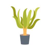 Yucca icon in vector. Logotype vector