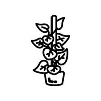 dinero planta icono en vector. logotipo vector