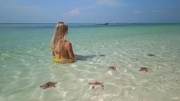 caucásico mujer relajante en tropical mar con estrella de mar, phu quoc isla, Vietnam video