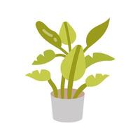 Banana Plant icon in vector. Logotype vector