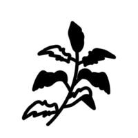 Stevia Leaf icon in vector. Logotype vector