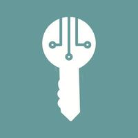 Keys Vector Icon