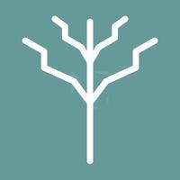 Tree with no leaves Vector Icon