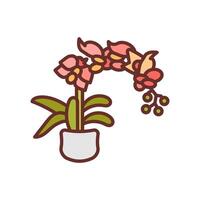 Moth Orchid icon in vector. Logotype vector