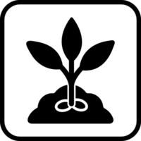 Seed Vector Icon