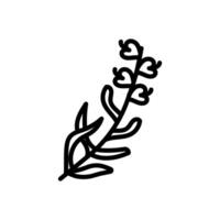 Hyssop icon in vector. Logotype vector