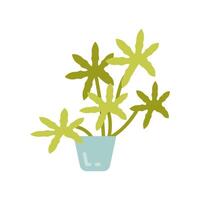 Aralia icono en vector. logotipo vector