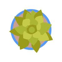 echeveria icono en vector. logotipo vector