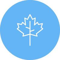 Maple leaf Vector Icon