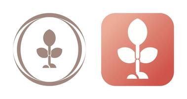 Plant Vector Icon