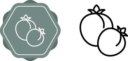 Tomato Vector Icon
