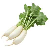 ai generiert Daikon Rettich isoliert auf transparent Hintergrund png