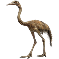 AI generated Pharusrhacos dinosaur isolated on transparent background png