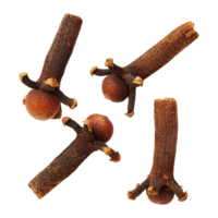 AI generated Cloves isolated on transparent background png