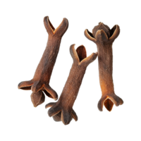 AI generated Cloves isolated on transparent background png