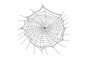 Spider web outline vector isolated on white background. Spider web icon for Halloween.