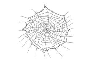 Spider web outline vector isolated on white background. Spider web icon for Halloween.