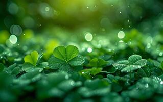 AI generated Morning Dew Clings to Vibrant Green Clover Leaves photo