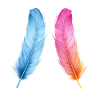 AI generated Color feathers png isolated on transparent background