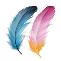 AI generated Color feathers png isolated on transparent background