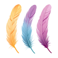 AI generated Color feathers soft bird plumage png isolated on transparent background