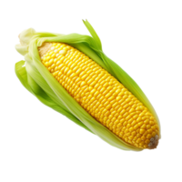 AI generated Corn png isolated on transparent background