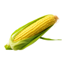 AI generated Corn png isolated on transparent background