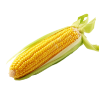 AI generated Corn png isolated on transparent background