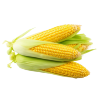 AI generated Corn png isolated on transparent background