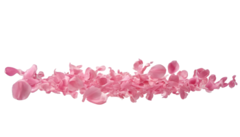 AI generated Dance of floating pink petals in the air FREE PNG