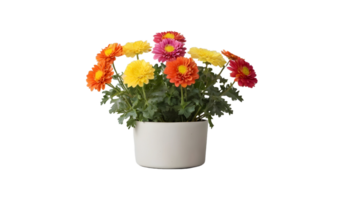 ai généré coloré fllower bouquet gratuit png