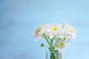 blanco crisantemo flores en florero en azul de madera fondo.suave atención foto