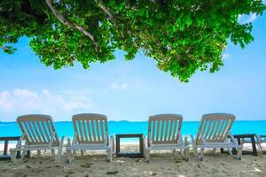 fila de sillas con árbol en una hermosa playa tropical tiempo relajante en vacaciones foto