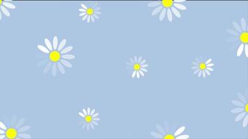 zomer camomiles bloemen grafisch beweging ontwerp naadloos loopbaar video animatie video