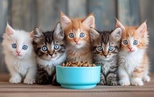 AI generated Kittens of Mixed Coat Patterns Adorably Gathered at a Blue Food Bowl Looking Up photo