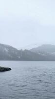 visie van fjord heid monster in Schotland gedurende winter. video