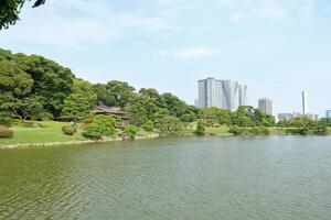 tradicional vs moderno tokio en hamarikyu jardín foto