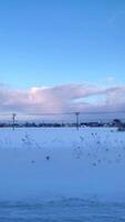 snö och natur visningar på de hokkaido rutt från de tåg fönster video