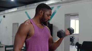 Bearded black workout in the gym. Bodybuilding concept video