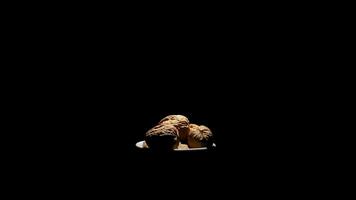 Walnuts nut fruit in a white bowl in rotation on black background video