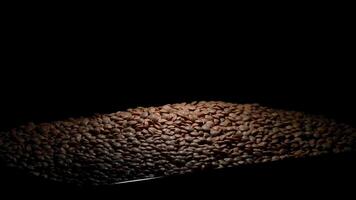 Lentils legumes vegetables gyrating on black background video